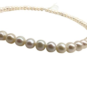 White pearl necklace